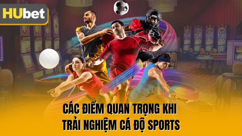 Các điểm quan trọng khi trải nghiệm cá độ sports